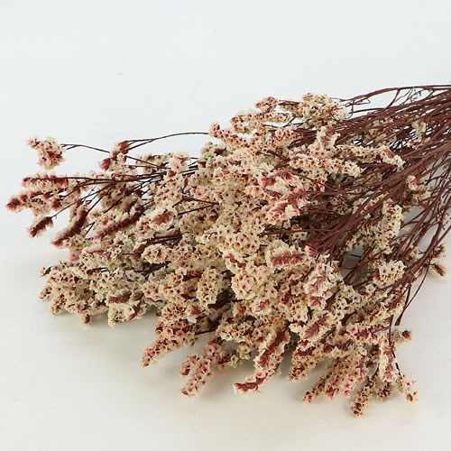 Limonium Diamond Natural - Dried 