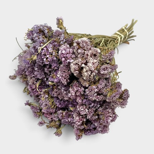 Statice Lilac (dried)