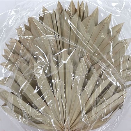 Sun Palms Natural (Dried)