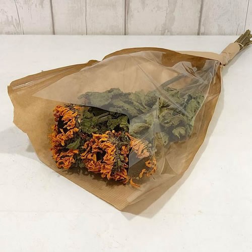 Sunflowers - Dried