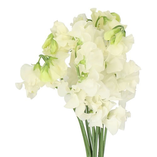 Sweet Peas Parfum Cream