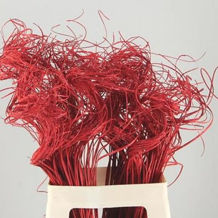 TING TINGS RED + GLITTER