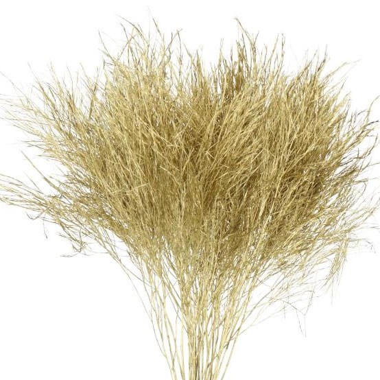 TREEFERN PRESERVED ANTIQUE GOLD