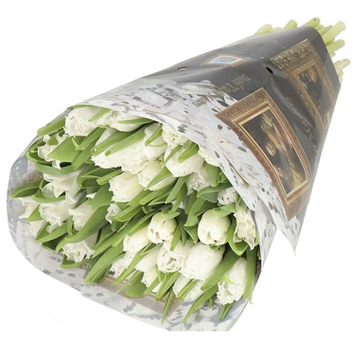 TULIPS DUTCH MASTERS (THE WHITES) X180 37cm 40gm Wholesale Flowers
