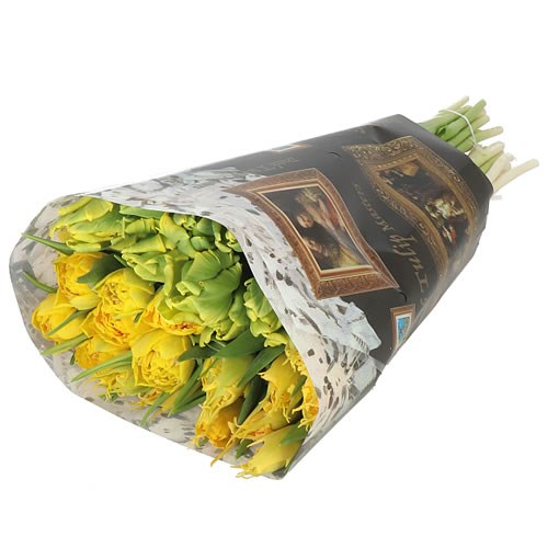 TULIPS DUTCH MASTERS 'THE YELLOWS' X180 37cm 40gm Wholesale Dutch