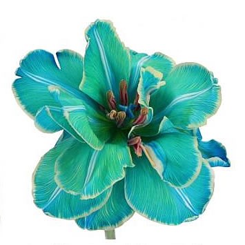 TULIPS DYED RIVIERA