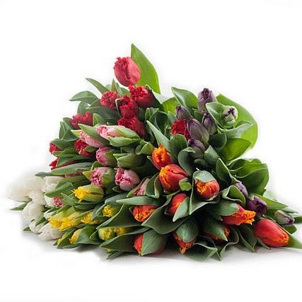 TULIPS FRILLY MIX X300