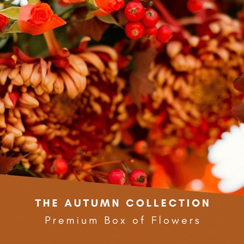 The Autumn Collection £30 (Inc VAT)