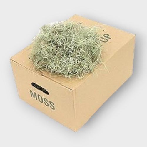 Tillandsia Moss Fine (200gm)
