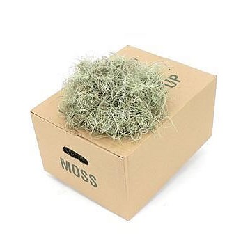 Tillandsia Moss Fine (200gm)