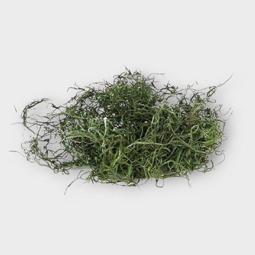 Tillandsia Moss Preserved Green 350gm Dried Flowers & Preserved Moss UK