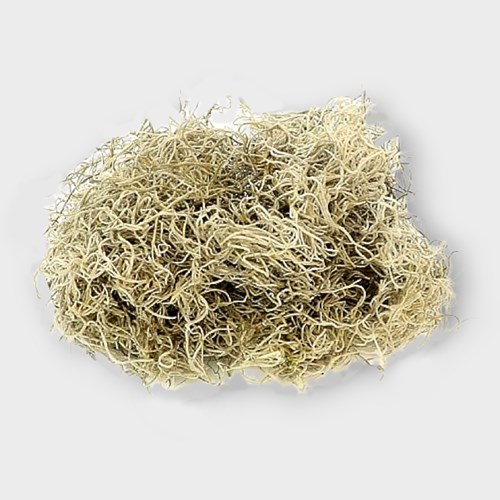 Tillandsia Moss Preserved Natural 350gm Dried Flowers & Preserved Moss UK