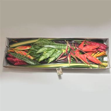 Tropical fiesta Box (41 stems)