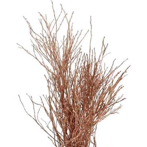 VACCIUNIUM DYED COPPER