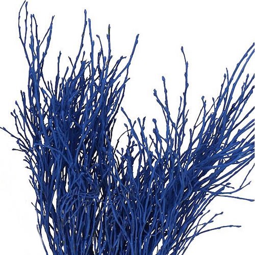 VACCIUNIUM DYED DARK BLUE