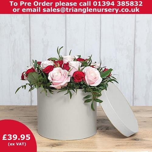 DIY Valentines Fresh Red & Pink Rose & Hat Box Kit Valentines Day