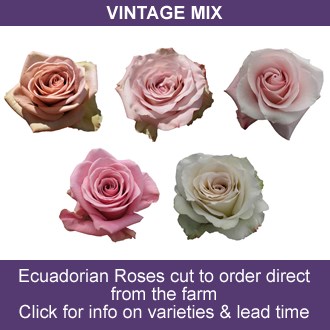 Vintage Rose Mix (Ecuador)