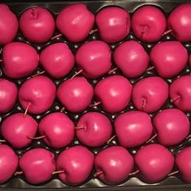 WAXED APPLES - FUCHSIA