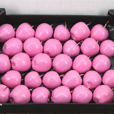 WAXED APPLES - ROSE PINK