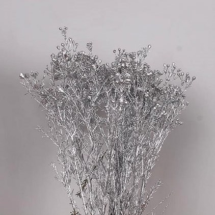 WAXFLOWER DYED SILVER + GLITTER
