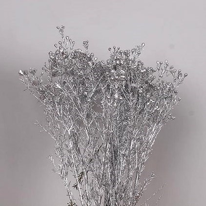 WAXFLOWER DYED SILVER + GLITTER