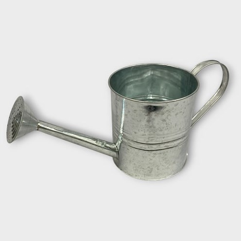 Watering Can - Zinc