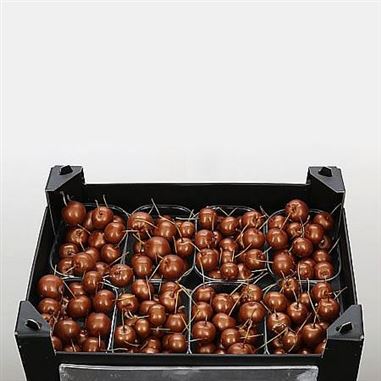 Waxed Apples Small - Copper