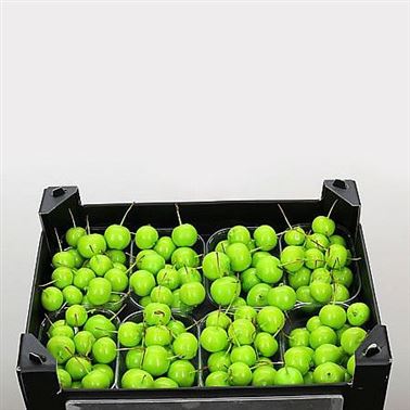 Waxed Apples Small - Mint Green