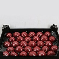 Waxed Apples - Burgundy