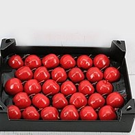 Waxed Apples - Red