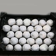 Waxed Apples - White