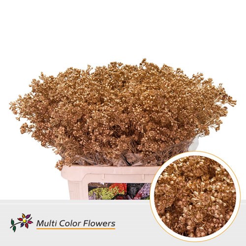 Waxflower Dyed Antique Gold
