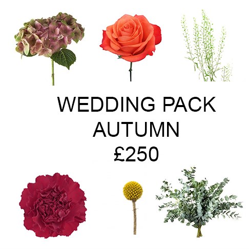 Wedding Flower Pack Autumn £250