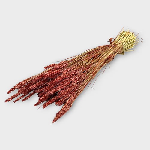 Wheat Dyed Red (Dried)