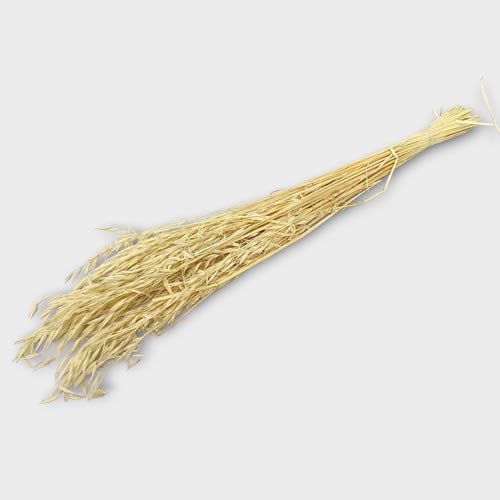 Oats - Dried & Bleached