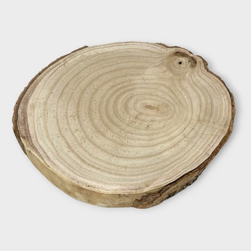 Wood Slice 18-22 x 3cm