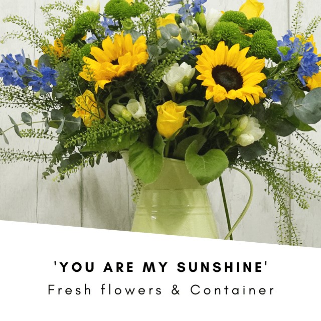 You are My Sunshine & Jug (Cols May Vary)