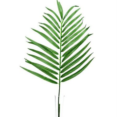 Artificial Parlour Palm Leaf