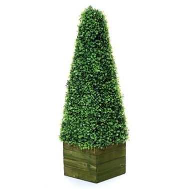 Artificial Boxwood Cone in Wooden Box