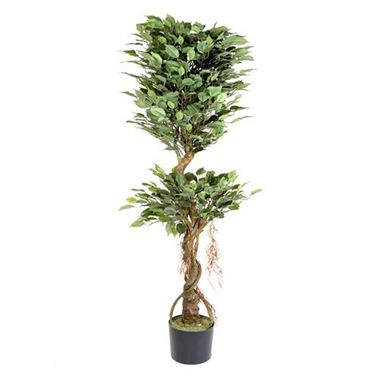 Artificial Ficus Tree - Double Ball