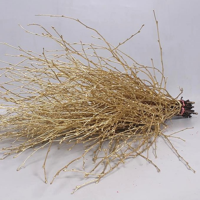 BIRCH DYED GOLD