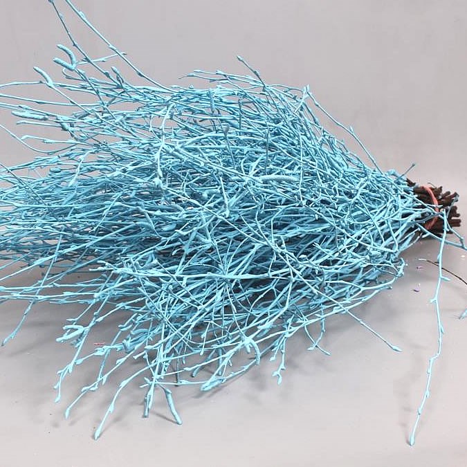 BIRCH DYED LIGHT BLUE