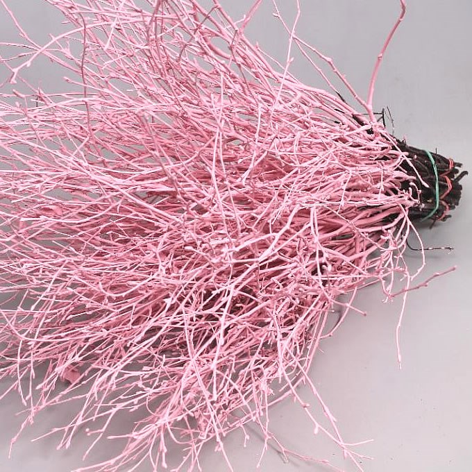 BIRCH DYED LIGHT PINK