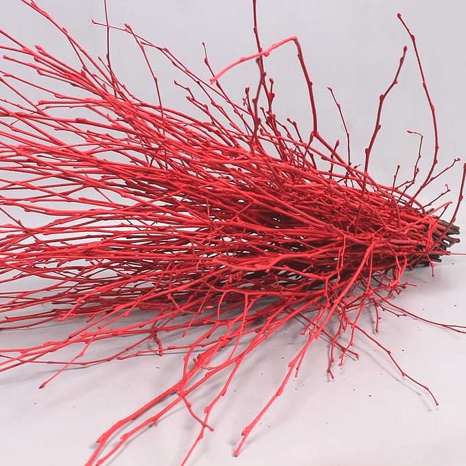BIRCH DYED RED