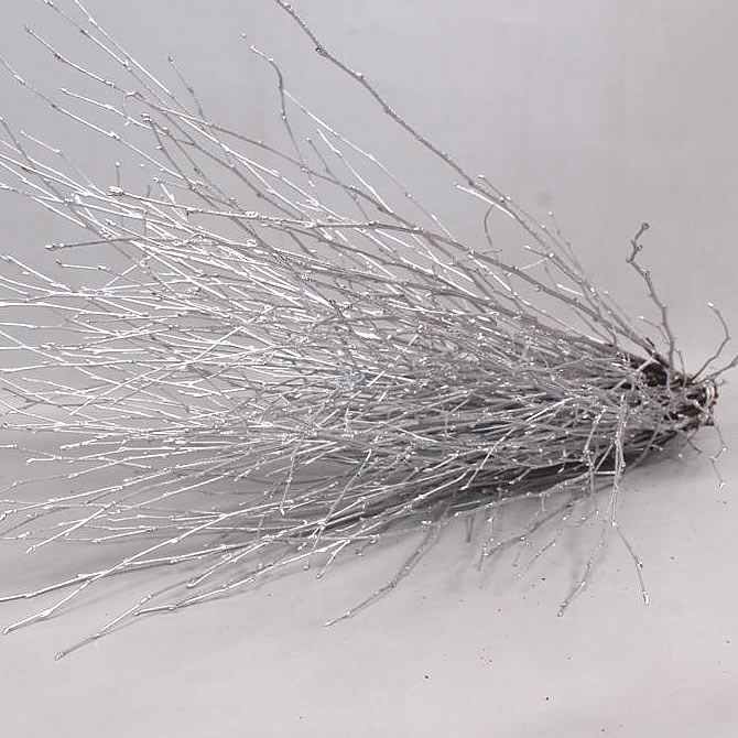 BIRCH DYED SILVER