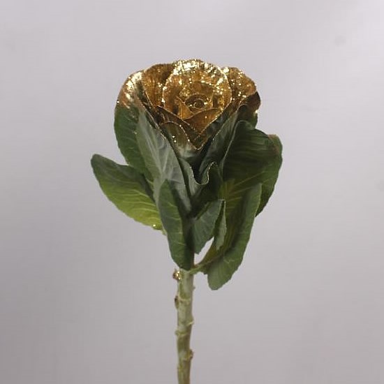 BRASSICA DYED GOLD + GLITTER