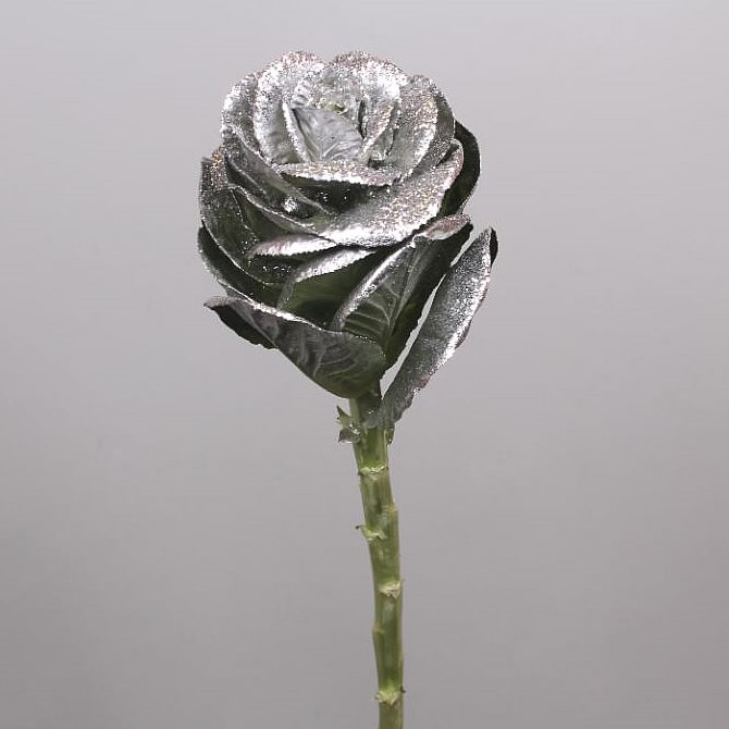 BRASSICA DYED SILVER + SILVER GLITTER