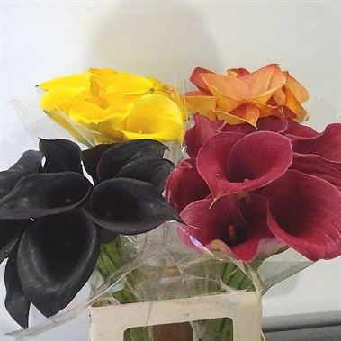 Calla Lily Mix (cols may vary to image)