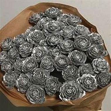 Cedarrose Picks - silver