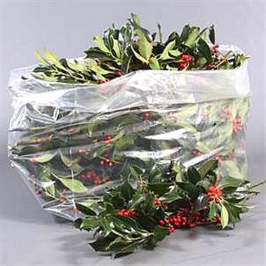 Holly Green + Red Berries (Large Bag)